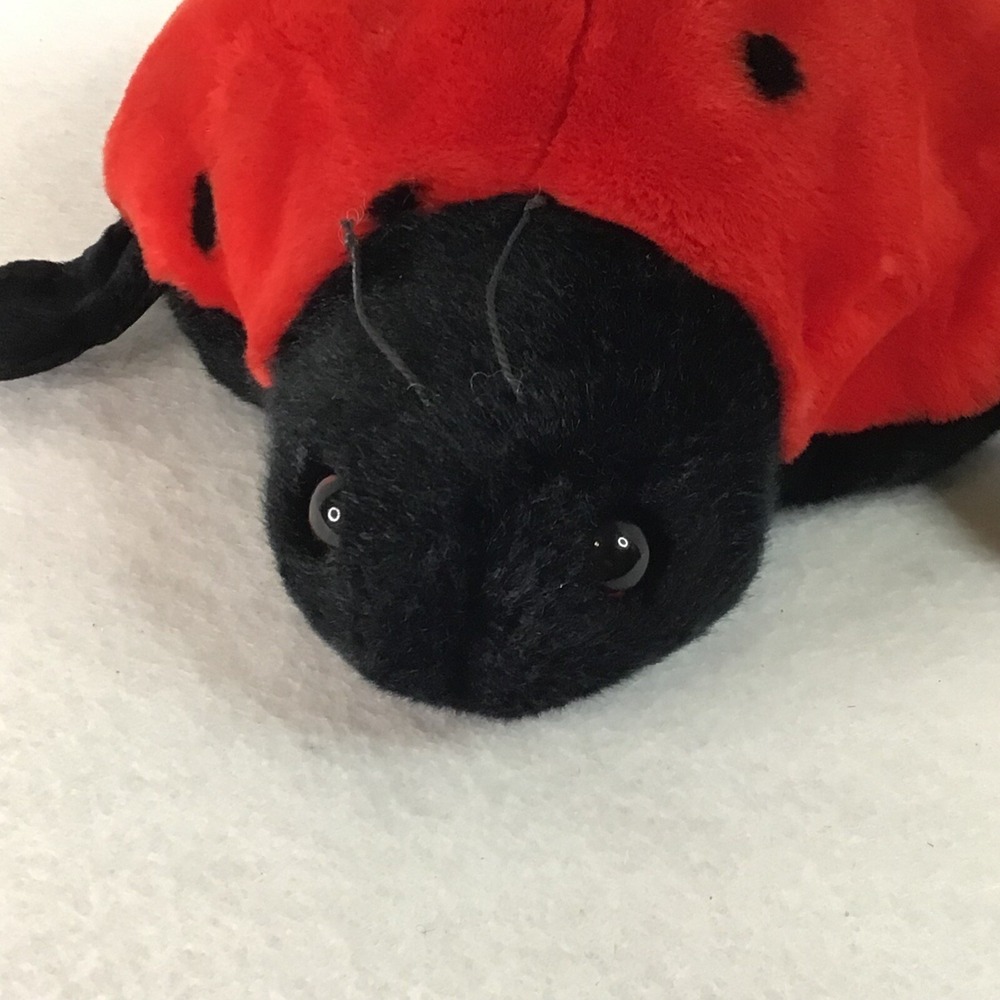 TY Beanie Baby Lucky The Ladybug Red with Black Spots Plush Toy